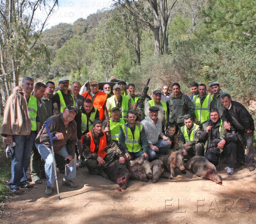 Los cazadores piden más batidas para el control de los jabalíes
