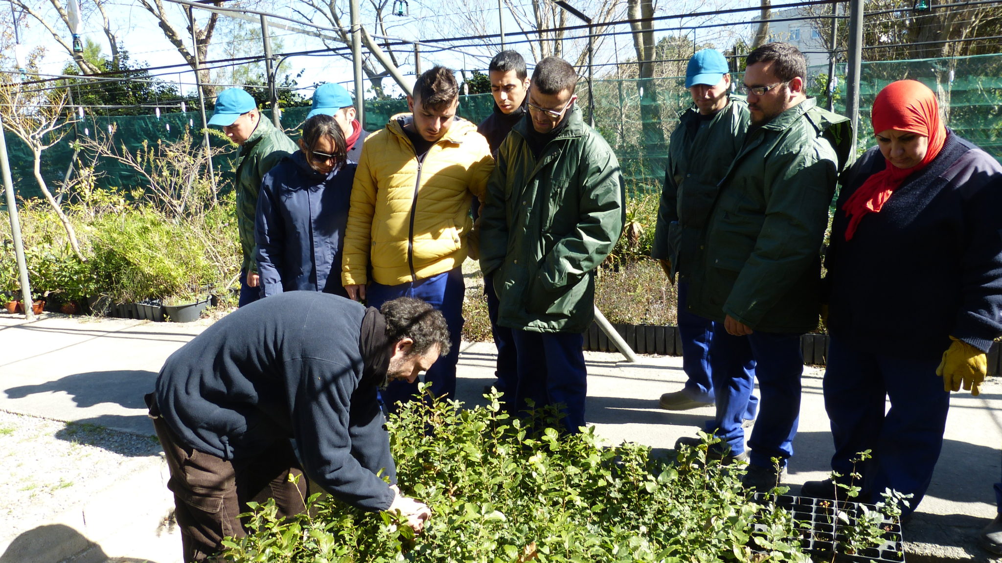 Obimasa forma en conservación forestal a 15 alumnos del Taller de Empleo Fuente de Hierro