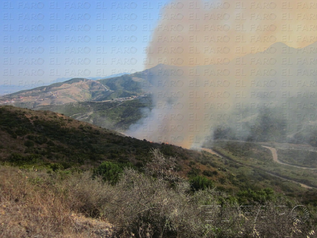 El primer incendio del verano arrasó casi ocho mil metros cuadrados