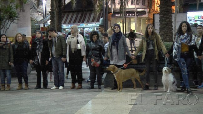 Hombres (y mujeres) contra el maltrato