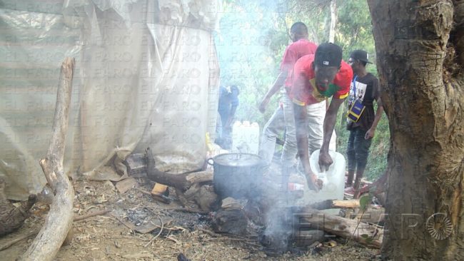 Las hogueras cerca de Postigo continúan pese a la prohibición de encender fuego en el campo