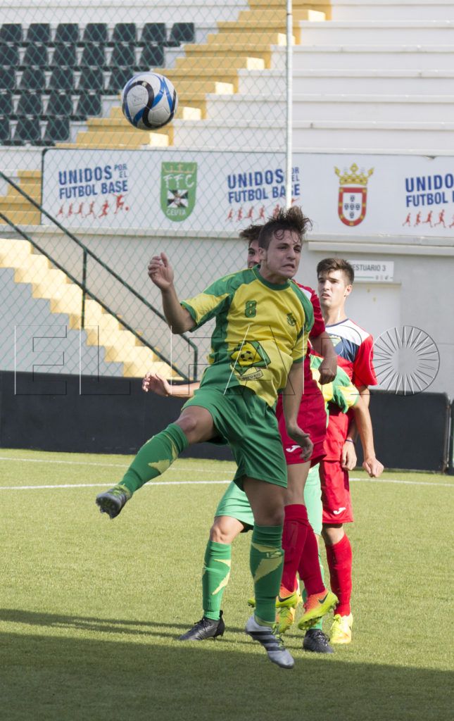 Vuelve a caer a la zona de descenso
