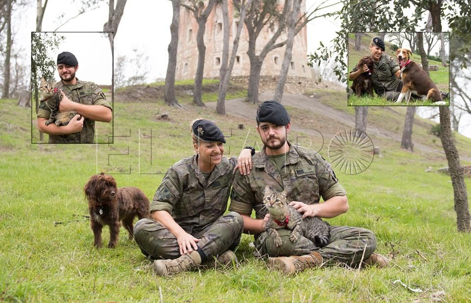 Todo por los animales