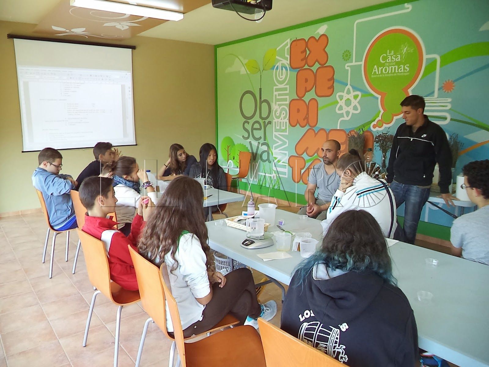 Aumentan los Programas de Inmersión Lingüística