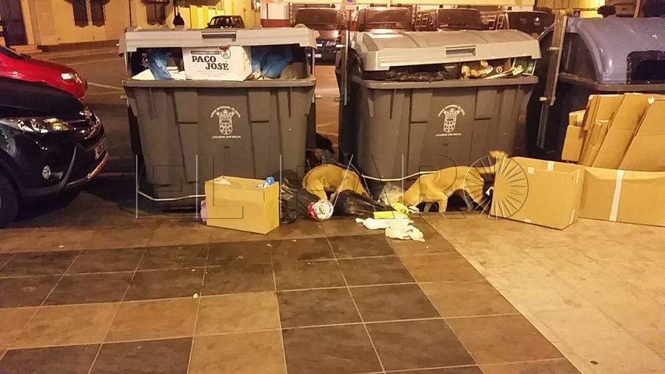 Perros asilvestrados provocan ataques en Hacho y San Antonio