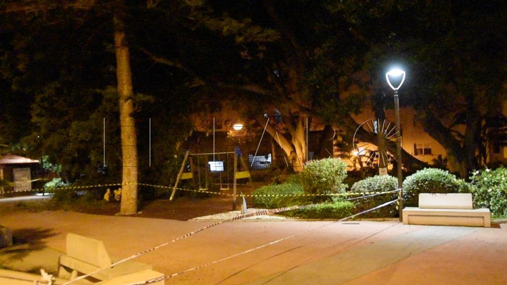 Cerrados los Jardines de la Argentina al caer un árbol centenario