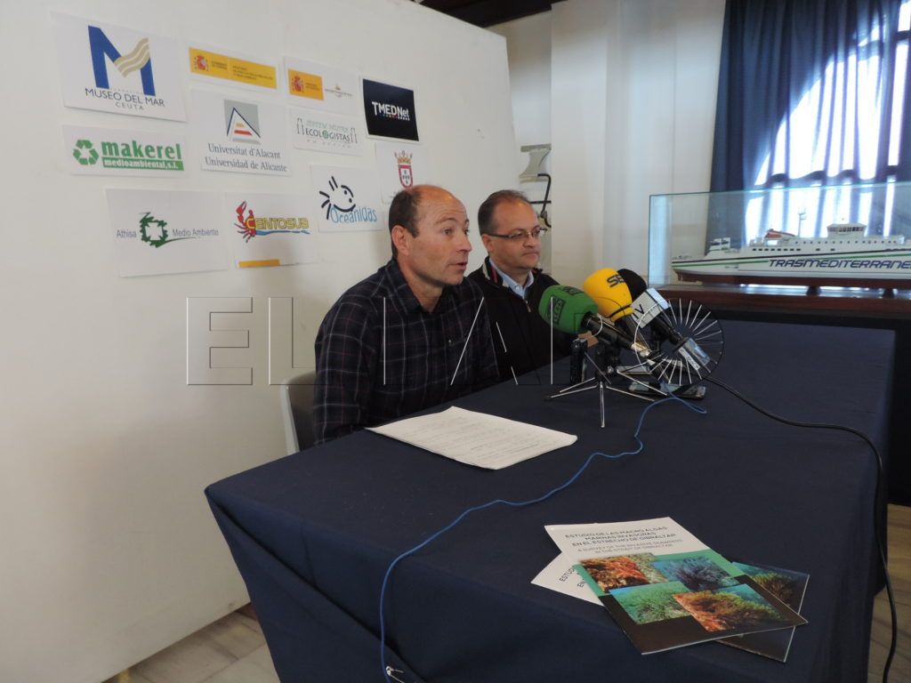 Museo del Mar y Septem Nostra alertan de que el alga invasora se mantiene «muy fuerte y peor» tras la crisis del verano