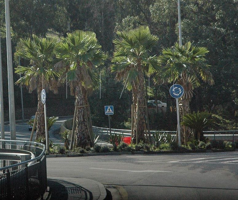 Las pistas anexas al vial del Quemadero se acometerán en un proyecto separado