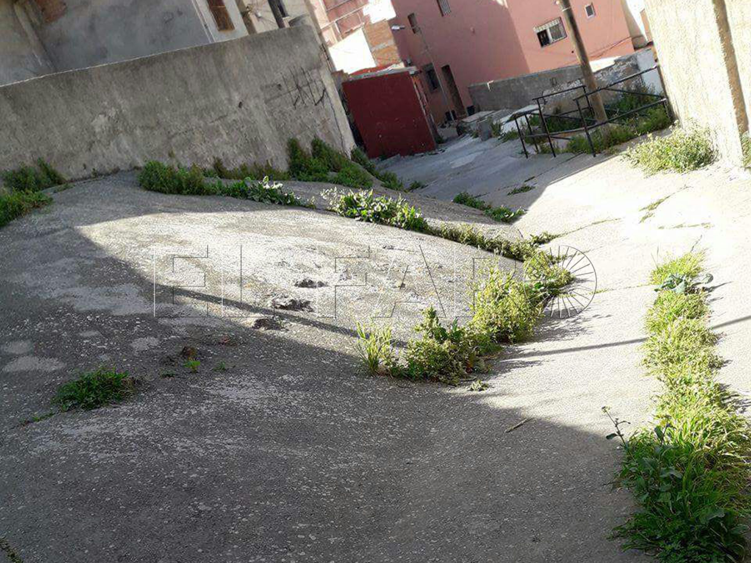 La calle Este del Príncipe pide solución a cortes de agua, vertederos y plagas