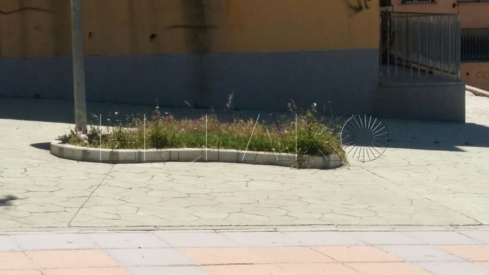 La Asociación Medioambiental Ceuta denuncia el abandono de las barriadas