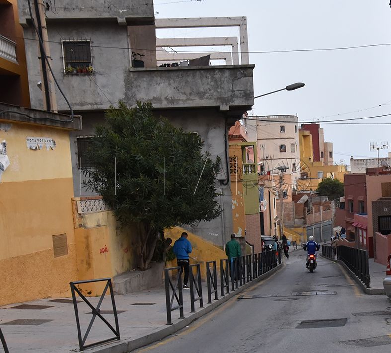 Denuncian la presencia de plagas  en Príncipe Alfonso por falta de limpieza