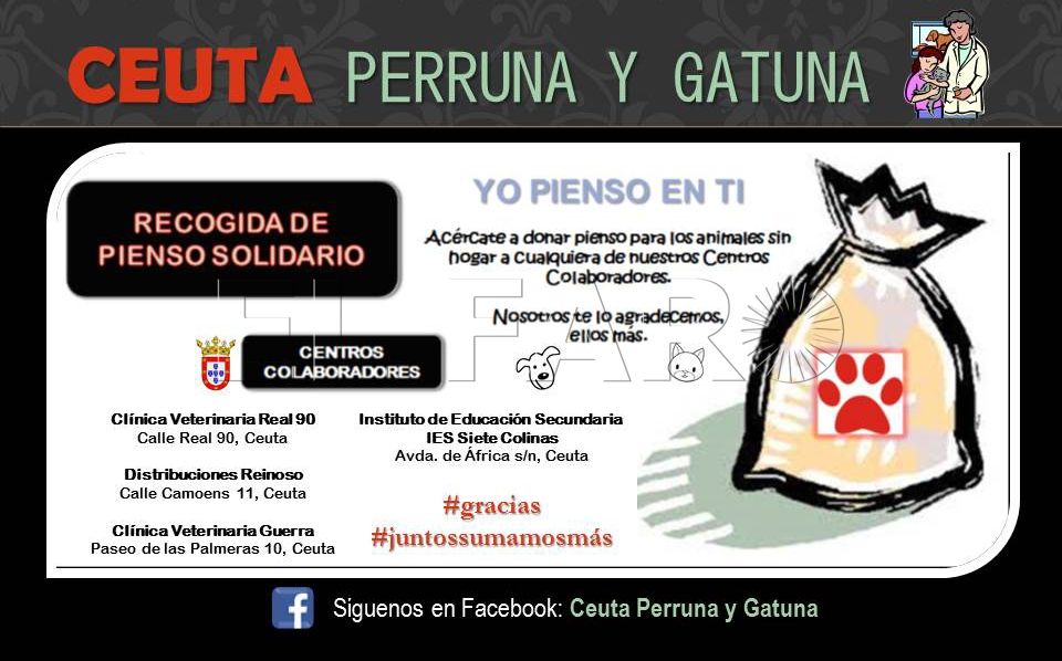 ‘Ceuta perruna y gatuna’ inicia su campaña de recogida de pienso