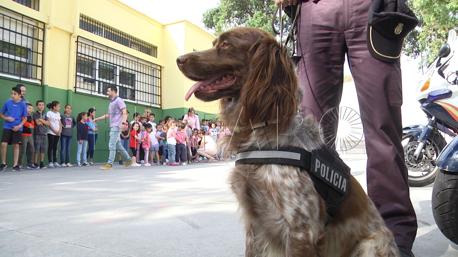 Pequeños agentes de Policía
