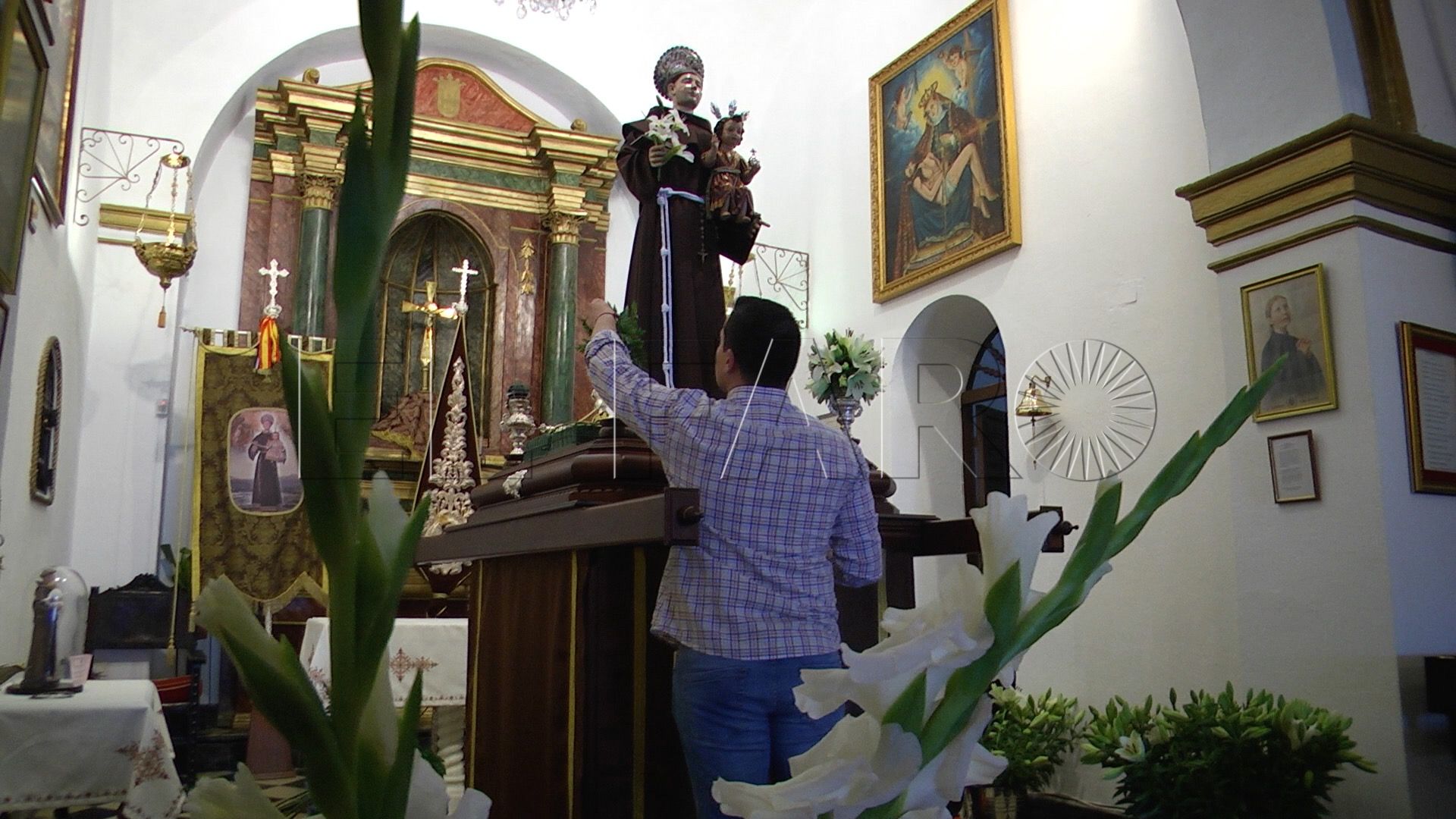 San Antonio se engalana para su día grande: la tradicional Romería