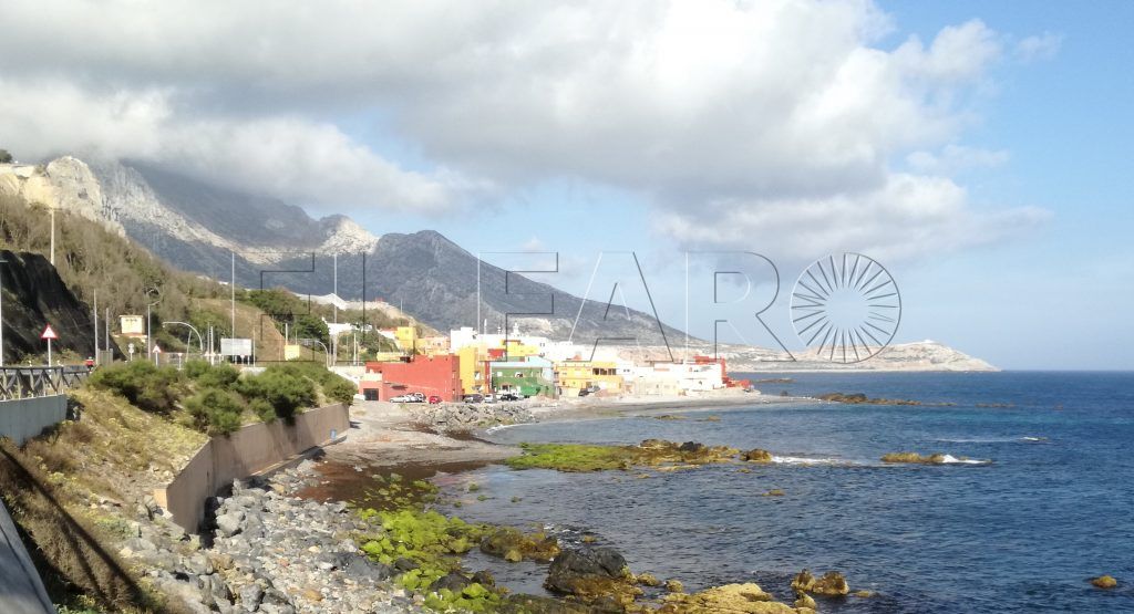 El Faro - La Ciudad encargará a Tragsa la retirada de algas de la bahía norte