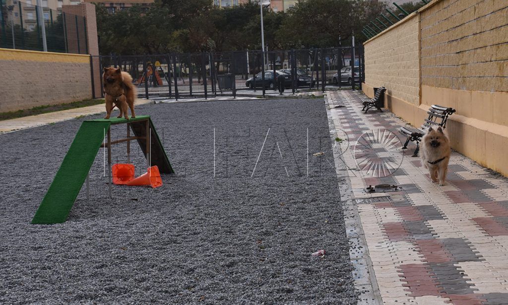 El parque de perros incrementa sus problemas con la llegada de la Feria