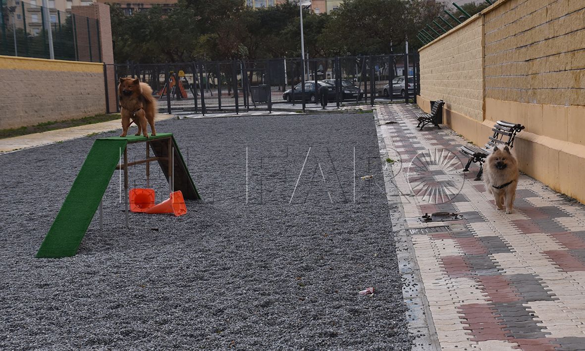 El parque de perros incrementa sus problemas con la llegada de la Feria