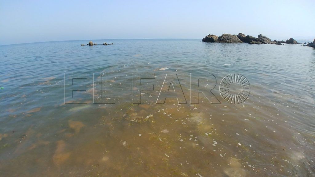 Llamadas al 112 porque el mar en Juan XXIII estaba lleno de residuos