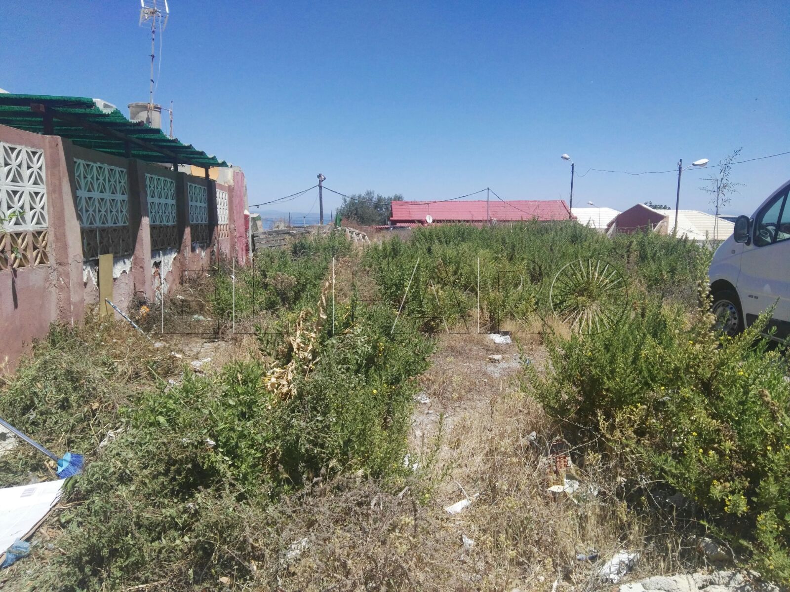 Poblado de Sanidad pide la limpieza de un solar “insalubre y peligroso”