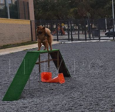El Parque de perros reclama seguridad, limpieza y mantenimiento