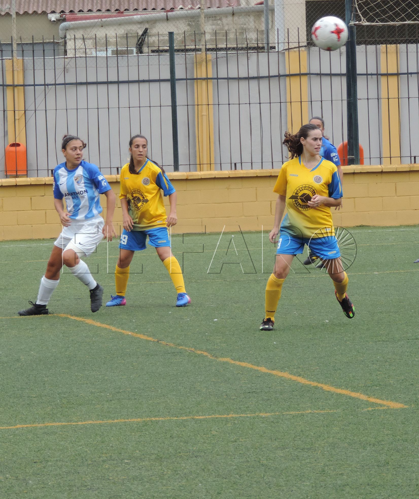 Las féminas inician la Liga en el último lugar