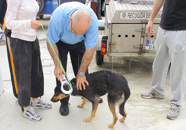 La obra de la Protectora de Animales costará 700.000 euros
