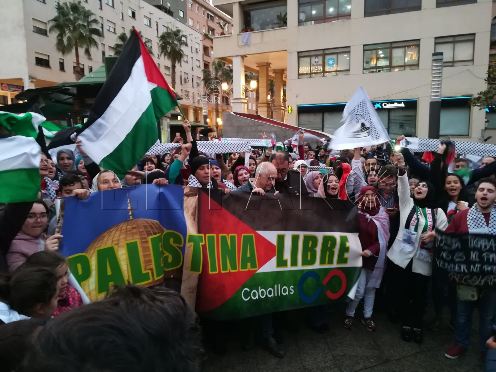 Todos a favor de Palestina