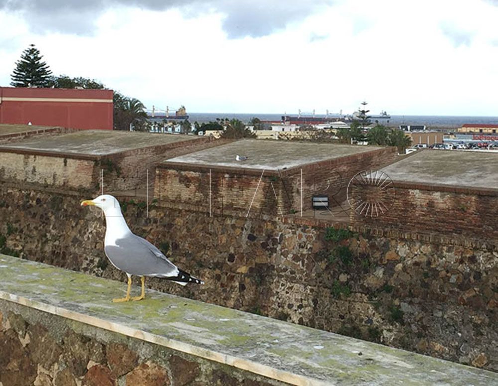Cultura garantiza que la obra de Bertuchi sigue intacta tras aislar las cubiertas del Museo