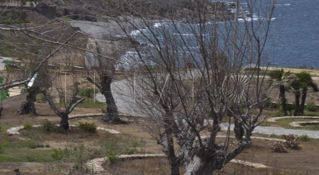 Obimasa estudia ya medidas para repoblar Santa Catalina