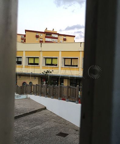 Sanidad carga contra los alimentadores por las pulgas en el colegio