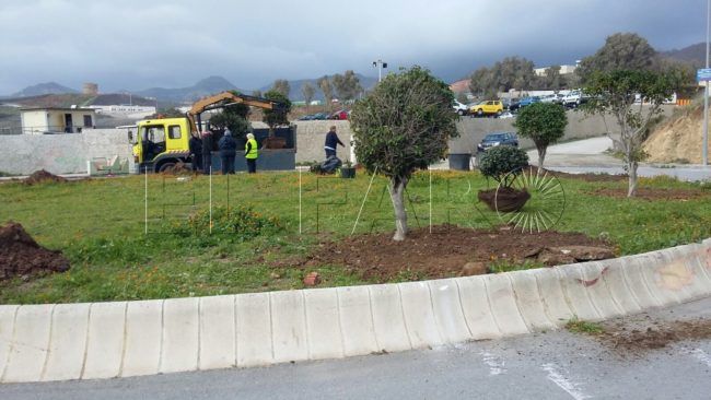 FOTOS | Tareas de limpieza en Puente Quemadero y repoblación vegetal en el Príncipe
