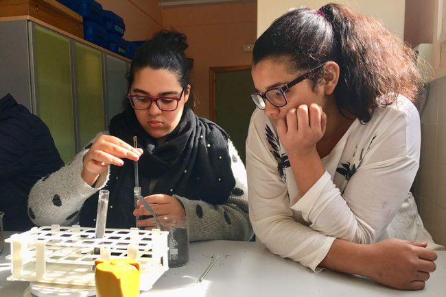 Día de la mujer científica: ¿Y además de Marie Curie…?