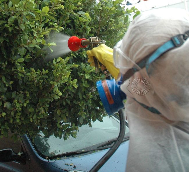 La fumigación de zonas verdes costará 15.000 euros