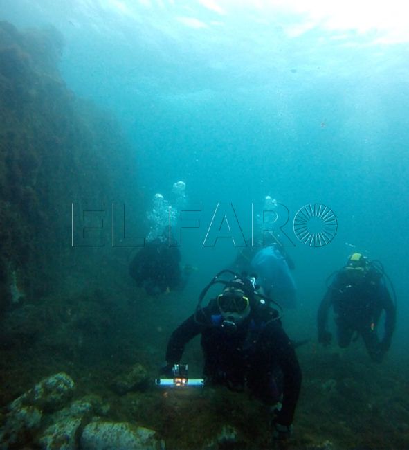 El Museo del Mar trabaja en la ampliación de espacios marinos protegidos