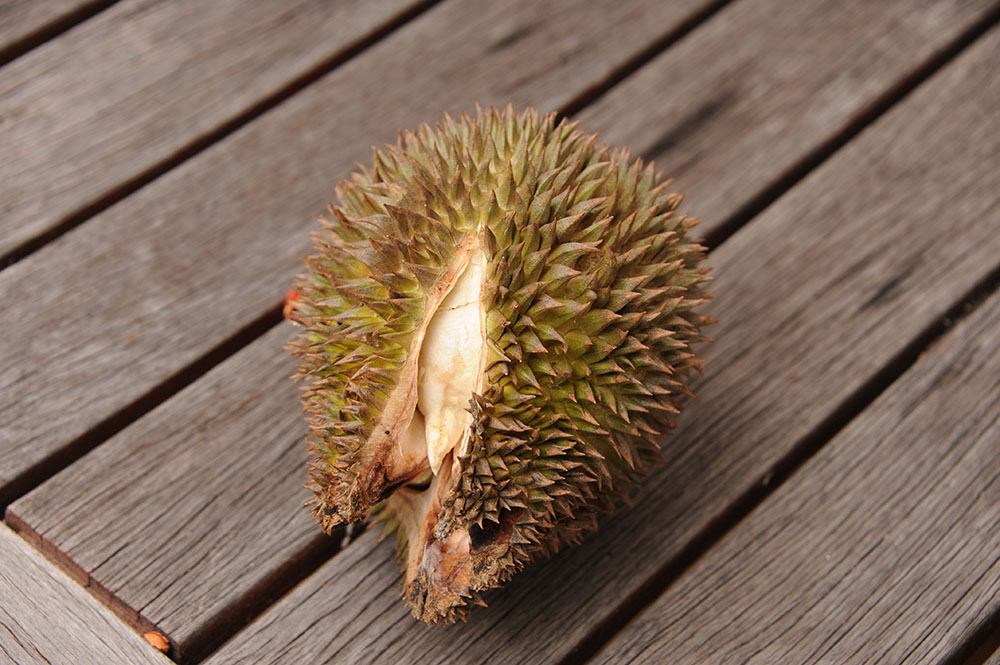 El durian, la fruta de olor sulfuroso que levanta odios y pasiones en Asia