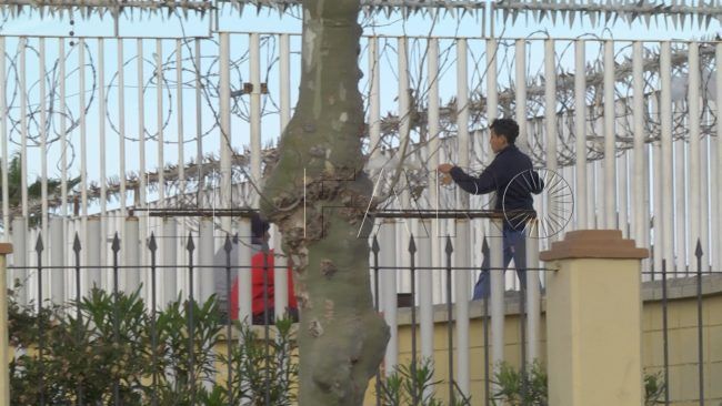 Sus delicuentes, nuestros niños