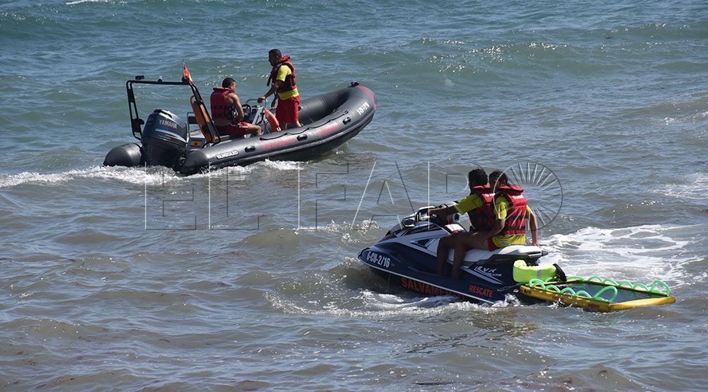 Marsave realizará batidas diarias para la detección de carabelas portuguesas