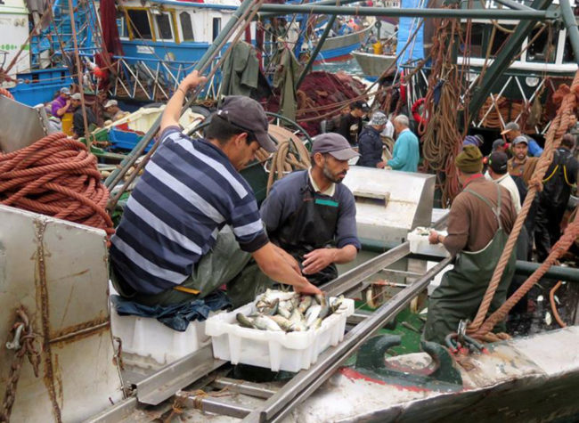 Bruselas propone negociar un nuevo acuerdo de pesca con Marruecos