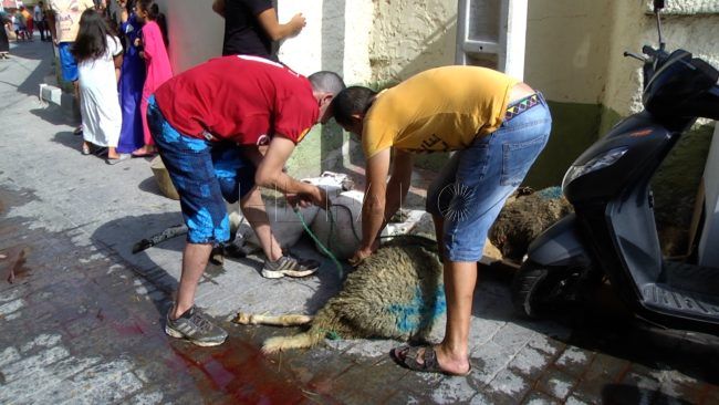 Así se vivió la Pascua del Cordero 2018 en las barriadas del Príncipe y Al Jalifa