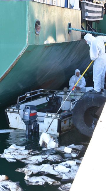 A licitación un plan contra la contaminación marina