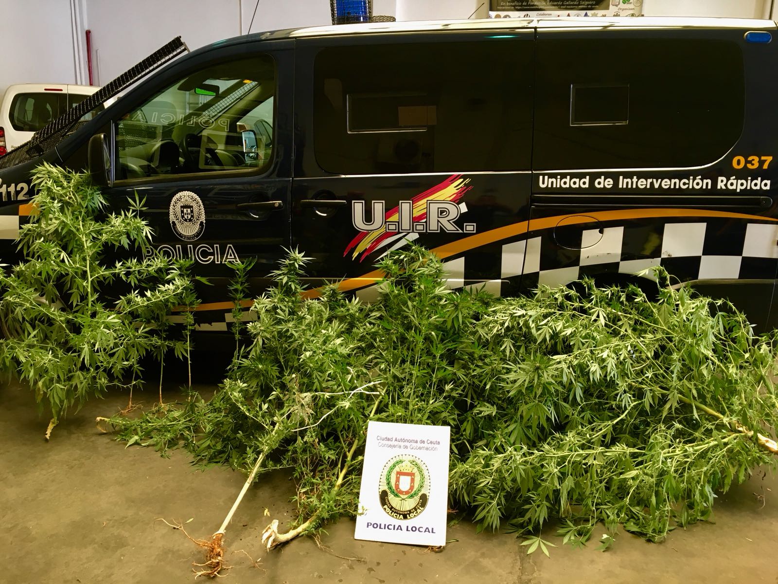 La Policía encuentra una plantación de marihuana en el Príncipe