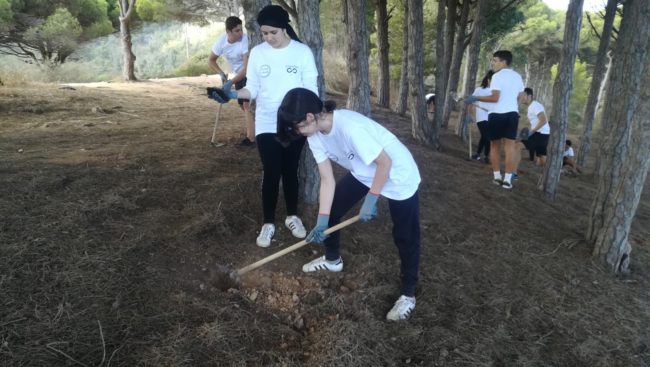 ‘Juventud en marcha’, una iniciativa para limpiar y reforestar los montes de Ceuta