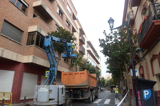 Calle Jáudenes seguirá este lunes cerrada al tráfico por la poda y el traslado de árboles