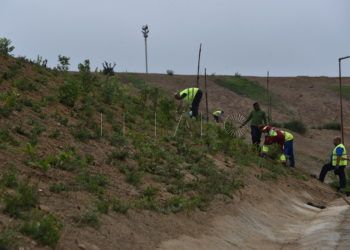 Reforestacion Santa Catalina 3