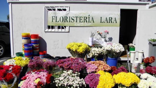 Roban material y flores de la caseta de la Floristería Lara en el cementerio