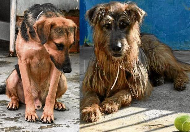 Melu y Fredy, una amistad más allá del último adiós