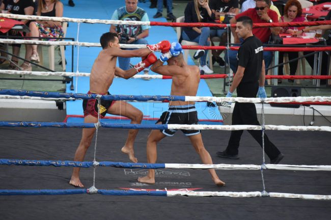 El ‘Campoamor’ acogerá un Open de kick-boxing