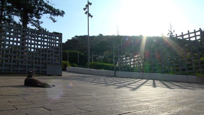 El PSOE se interesa por una parcela en San Amaro de la Asociación Santo Ángel