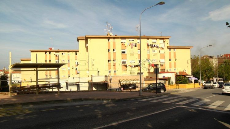 manzanera 4