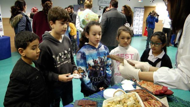 El CEIP Ramón y Cajal organiza un FITUR para todos sus alumnos